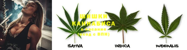 ГАЛЛЮЦИНОГЕННЫЕ ГРИБЫ Абдулино