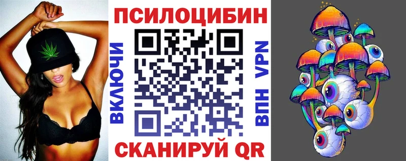 это состав  закладки  Хасавюрт  Псилоцибиновые грибы GOLDEN TEACHER 